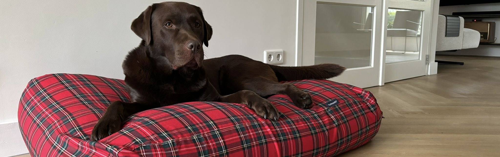 Coussins pour chiens rose