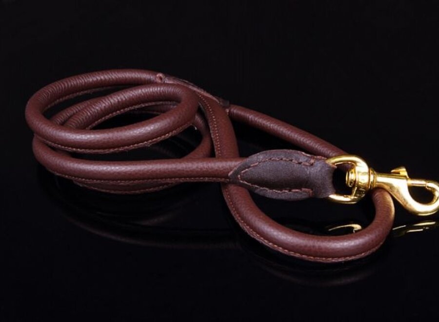 Leather leashes 120 & 180 cm, brass