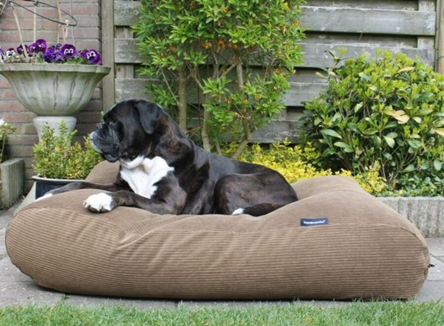 Dog bed Oxford (Corduroy) Extra Small