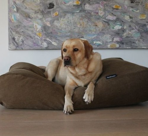 extra extra small dog bed