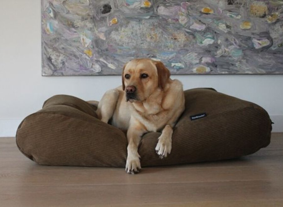 Lit pour chien Oxford (corduroy) extra small