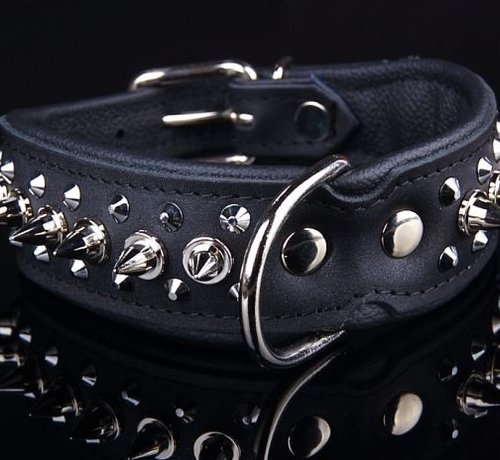 Dog's Companion Leren halsband - met spikes - 32-41 cm x 40 mm - Zwart