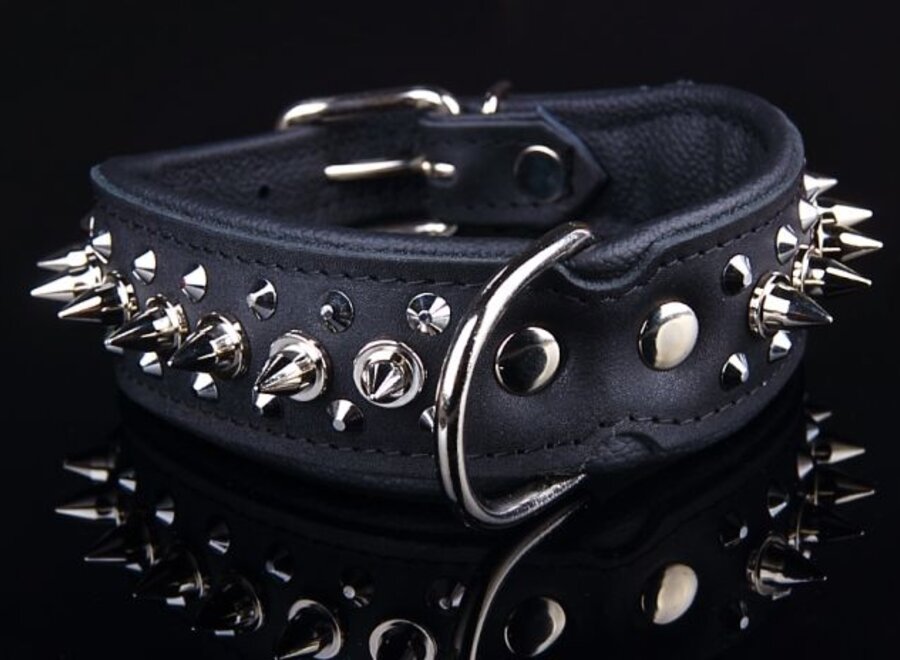 Leren halsband - met spikes - 32-41 cm x 40 mm - Zwart