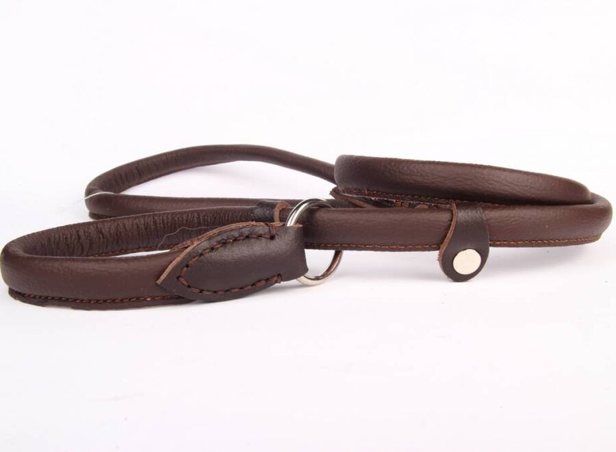 Leather retriever line (double stop)