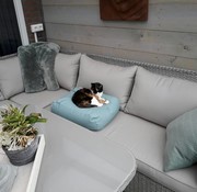 Dog's Companion Cat bed Extra Small Ocean