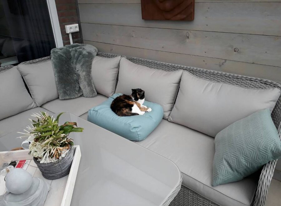 Coussin pour Chat Extra Small Ocean