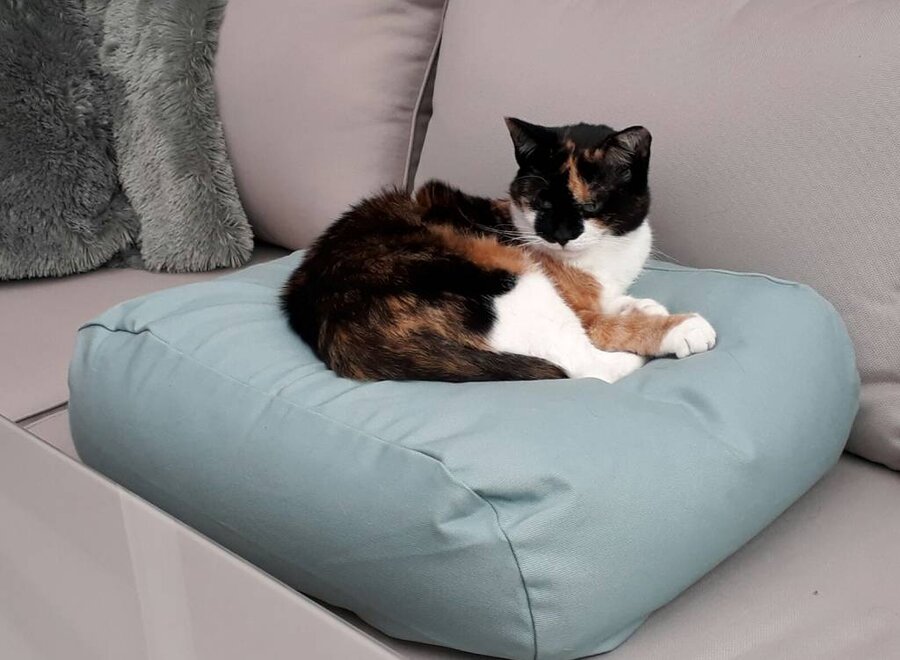 Coussin pour Chat Extra Small Ocean