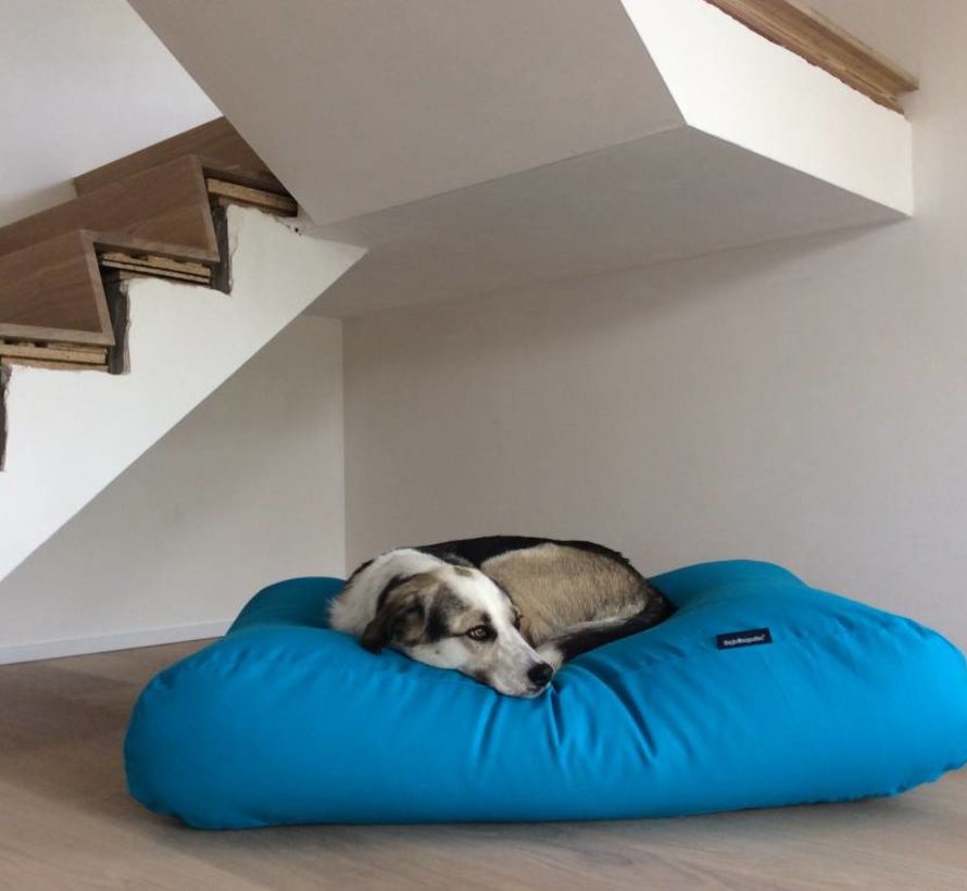Dog bed aqua blue Dog beds by Dog's Companion®