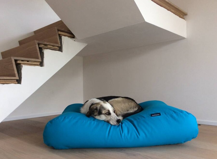 Dog bed aqua blue