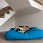 Lit pour chien aqua bleu extra small