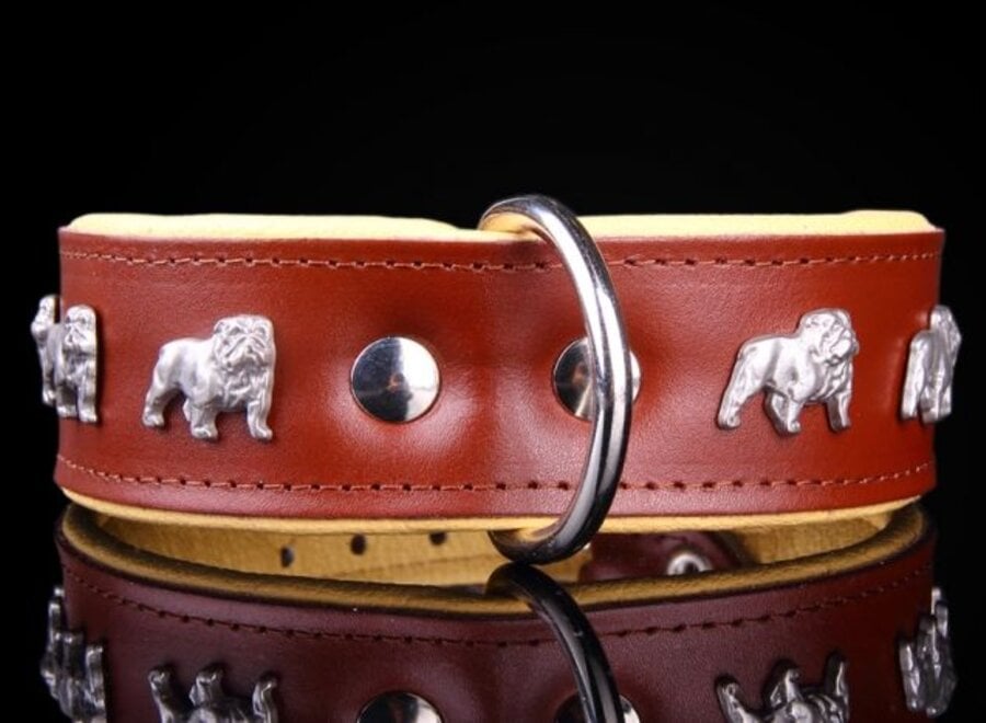 Leather dog collar English bulldog