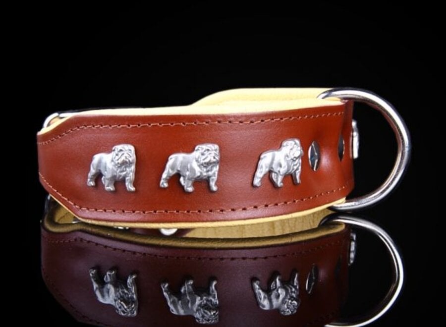 Leather dog collar English bulldog