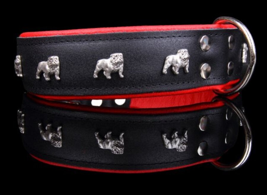 Leather dog collar English bulldog