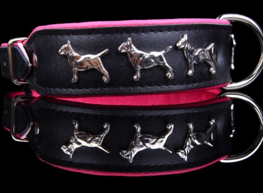 Leather dog collar Bull Terrier
