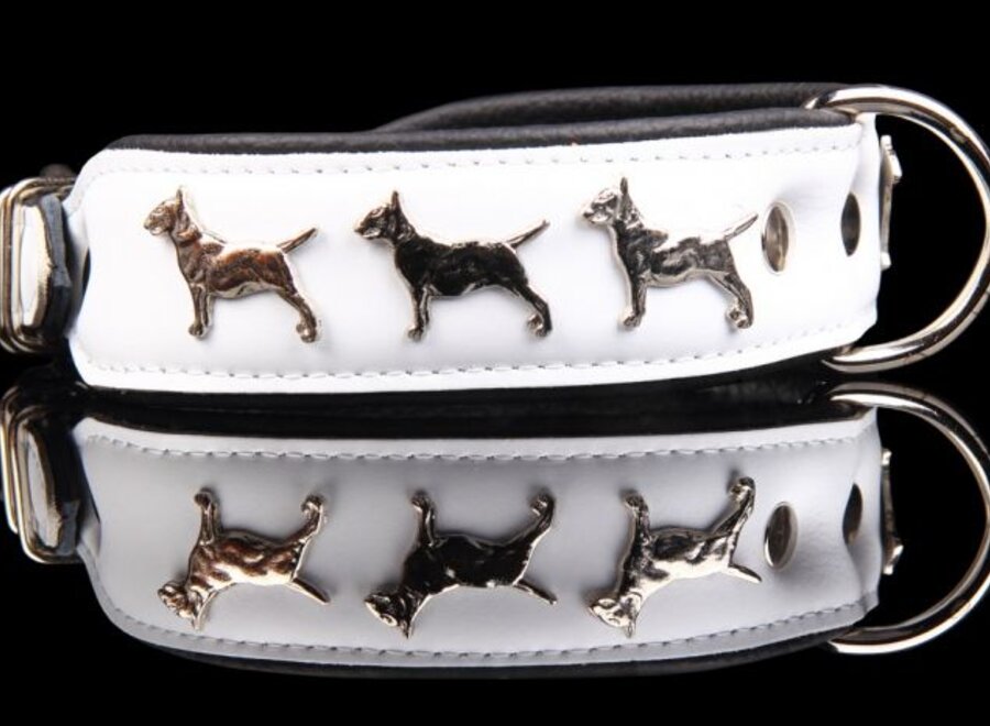 Collier en cuir Bull Terrier