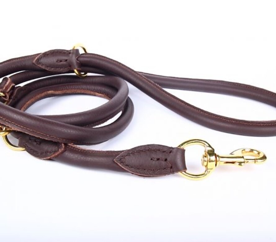 Laisse en cuir pour chien