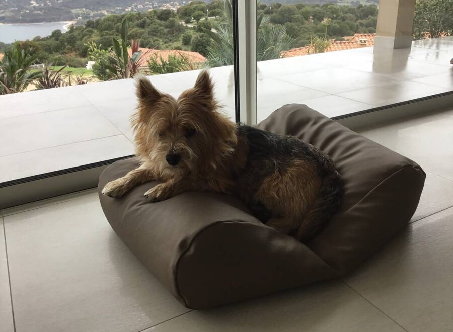 Dog bed taupe leather look