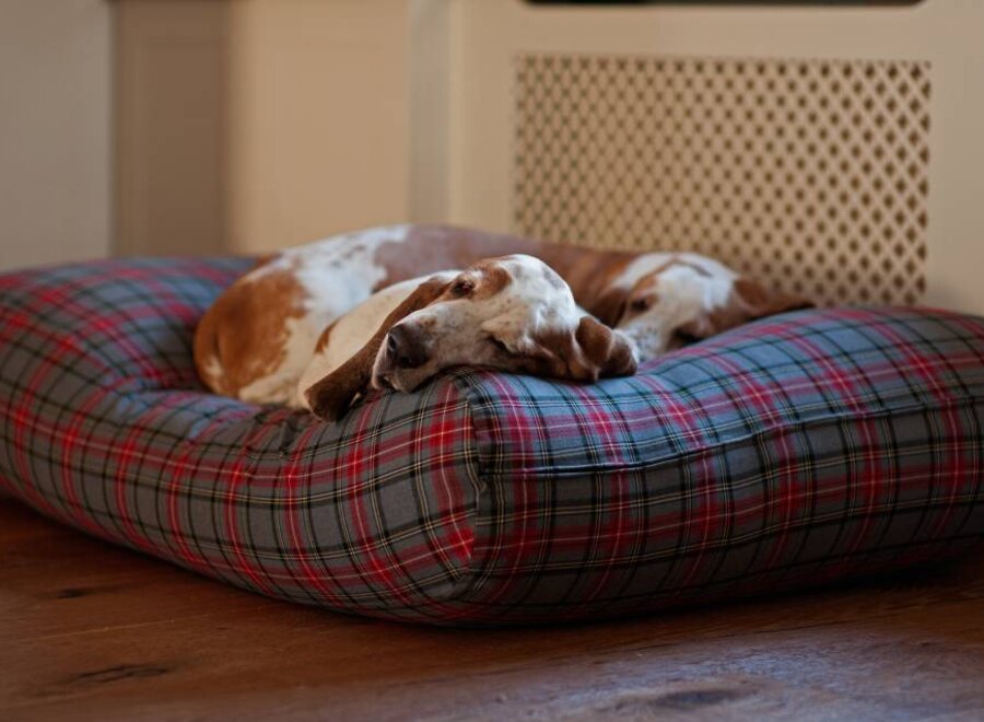 Dog bed scottish grey