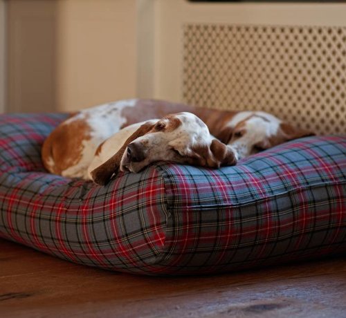 Dog's Companion Dog bed Scottish Grey Extra Small
