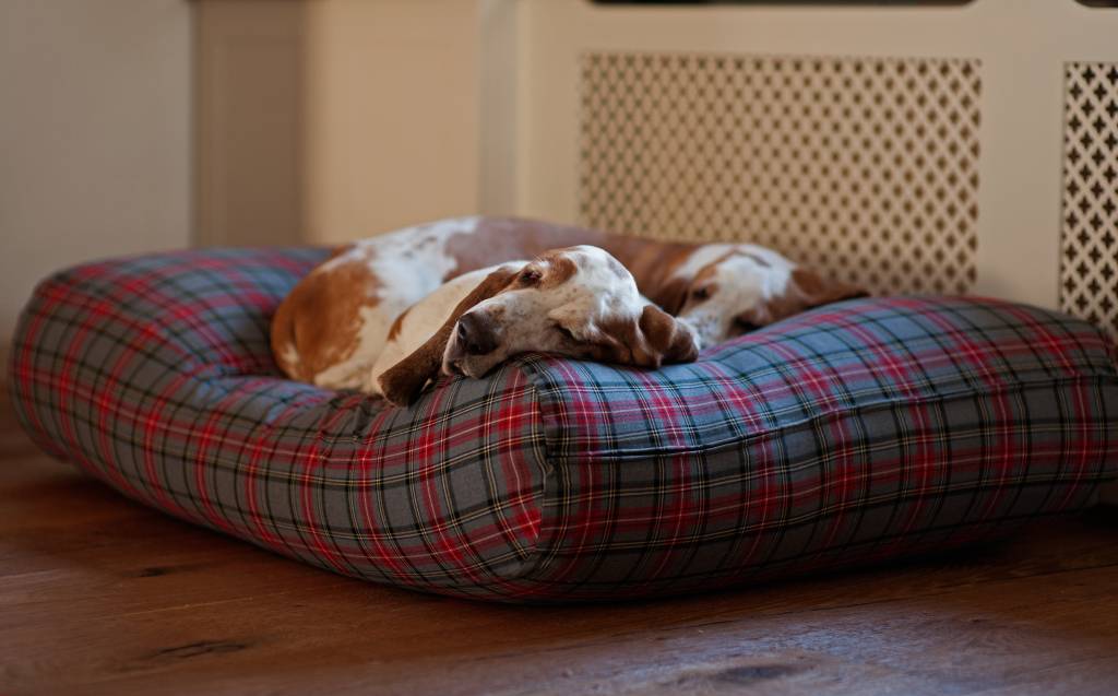 Dog bed Scottish Grey Large - Dog beds 