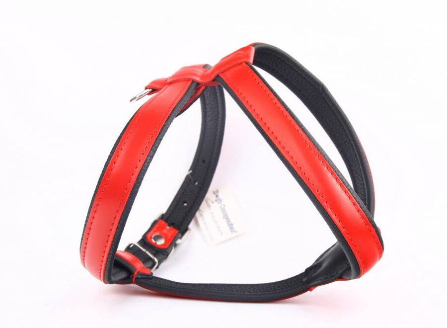 Dog's Companion Leren Harnas - hondentuigje - 57-67 cm x 25 mm - Rood