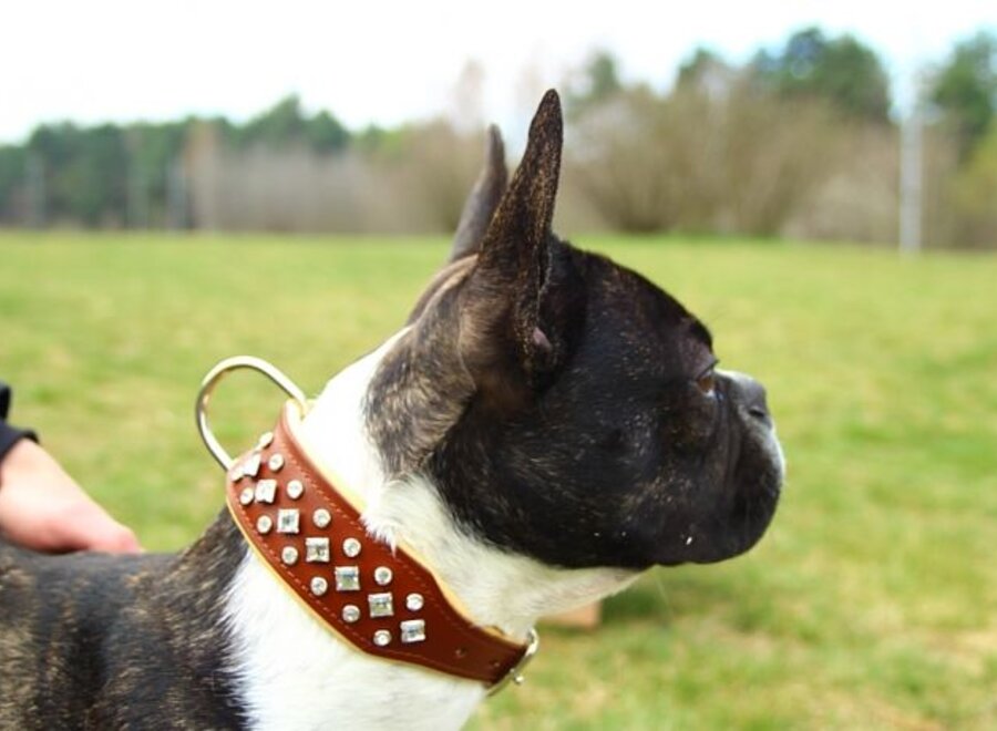 Leather Collar with Crystals