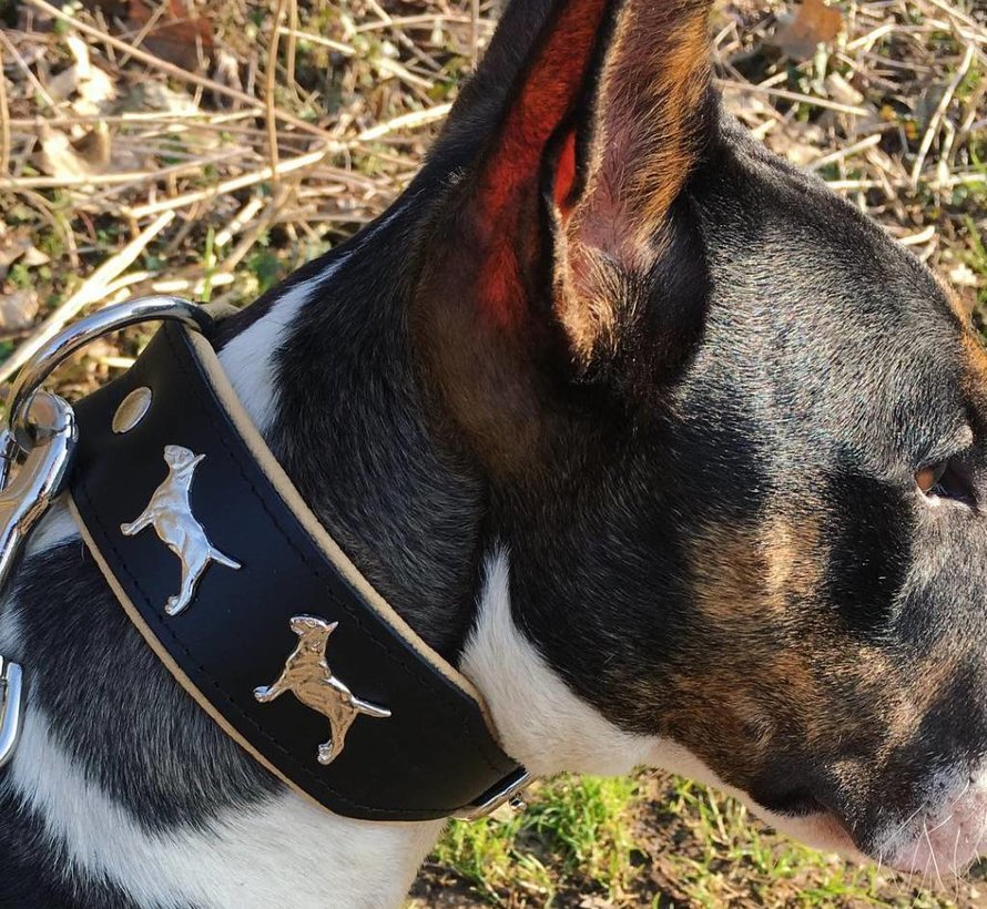 Leather dog collar Bull Terrier Dog beds by Dog's Companion®