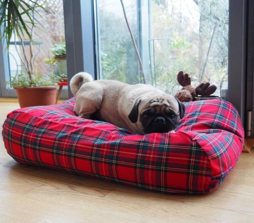 Dog bed small
