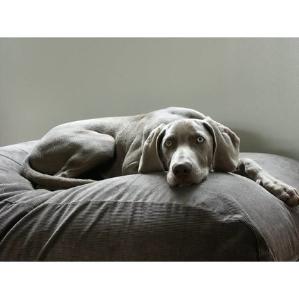 Dog bed Large