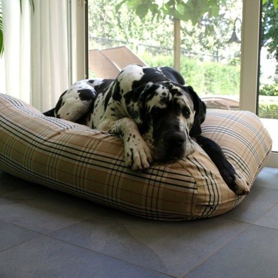 Dog bed superlarge