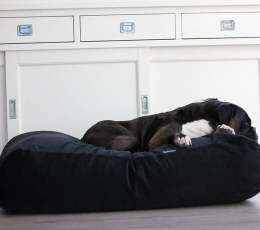 Corduroy dog beds