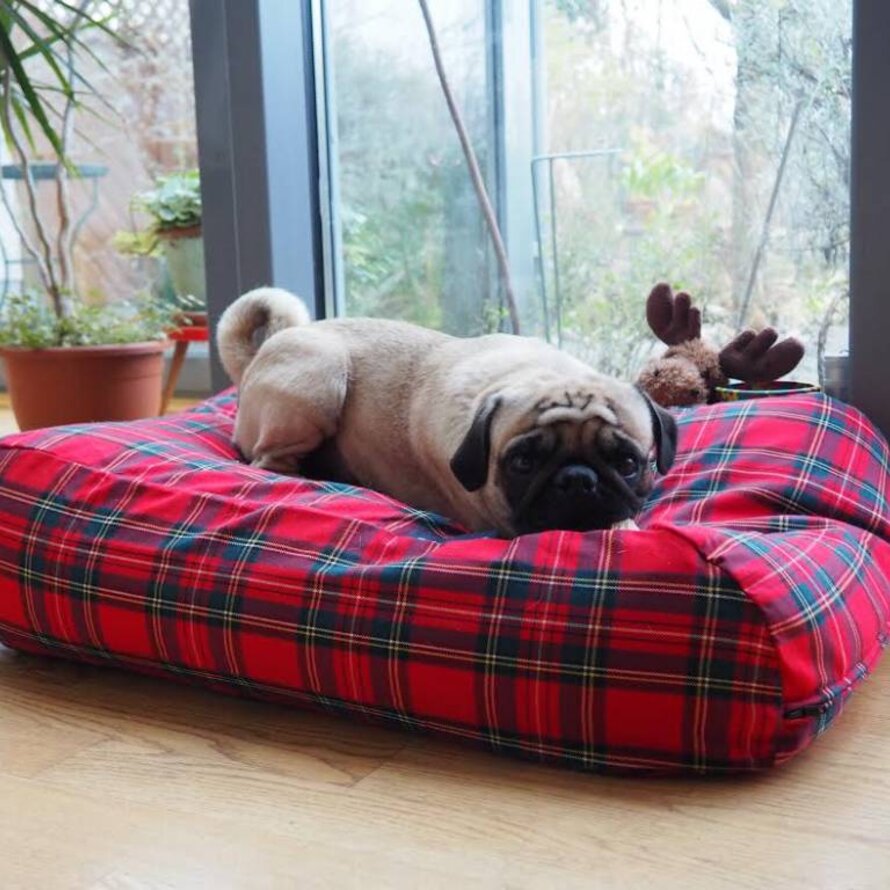 Dog beds tartan