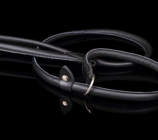 Leather dog leashes