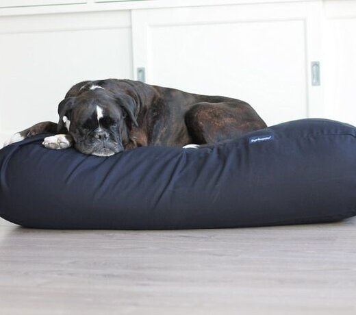 Large dog beds