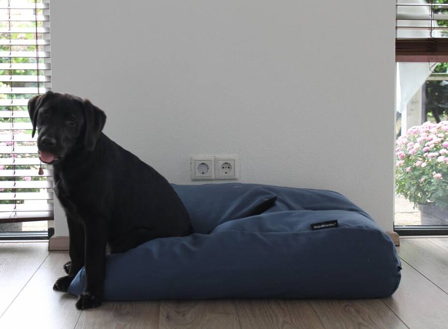 Dog bed raf blue upholstery Extra Small