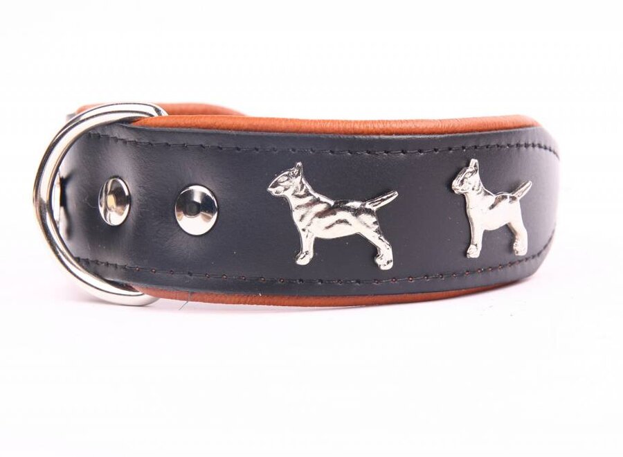 Collier en cuir Bull Terrier