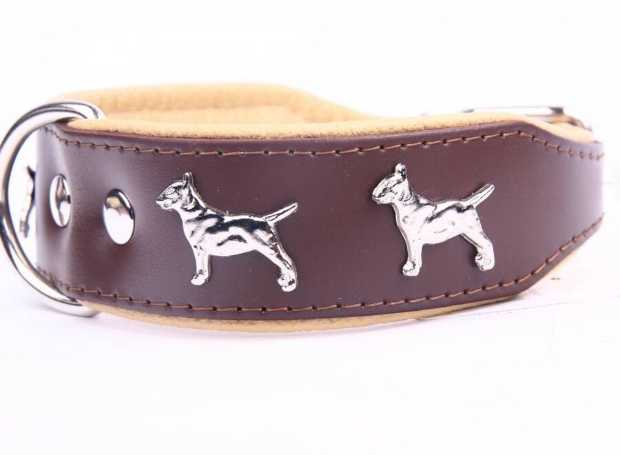 Collier en cuir Bull Terrier