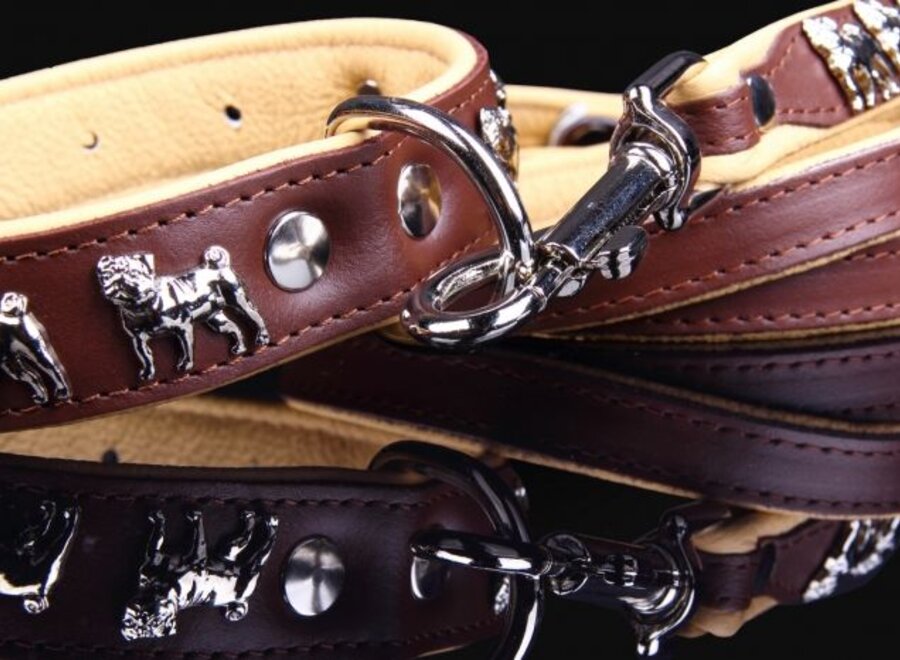 Leather dog leash Pug