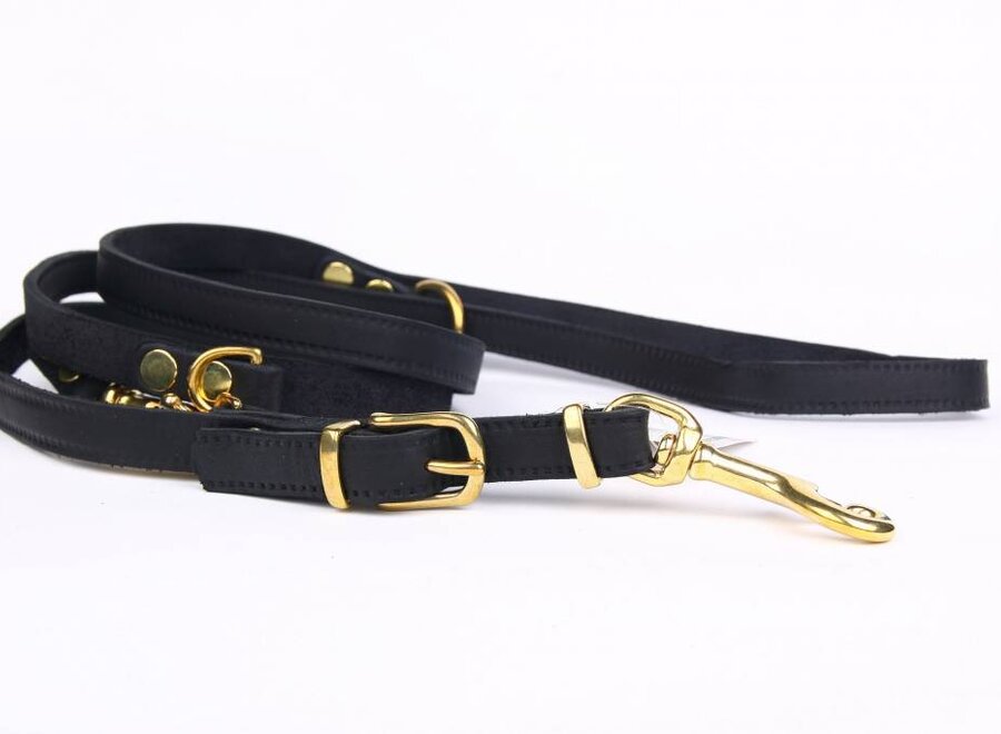 Adjustable leather dog leash exclusive gold