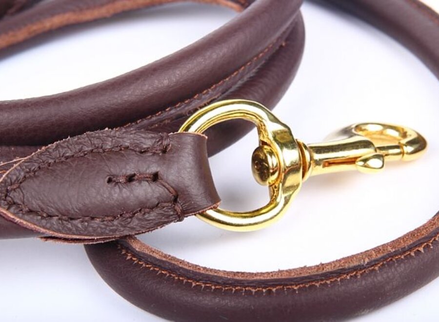 Adjustable leather dog leash (around 220 cm)