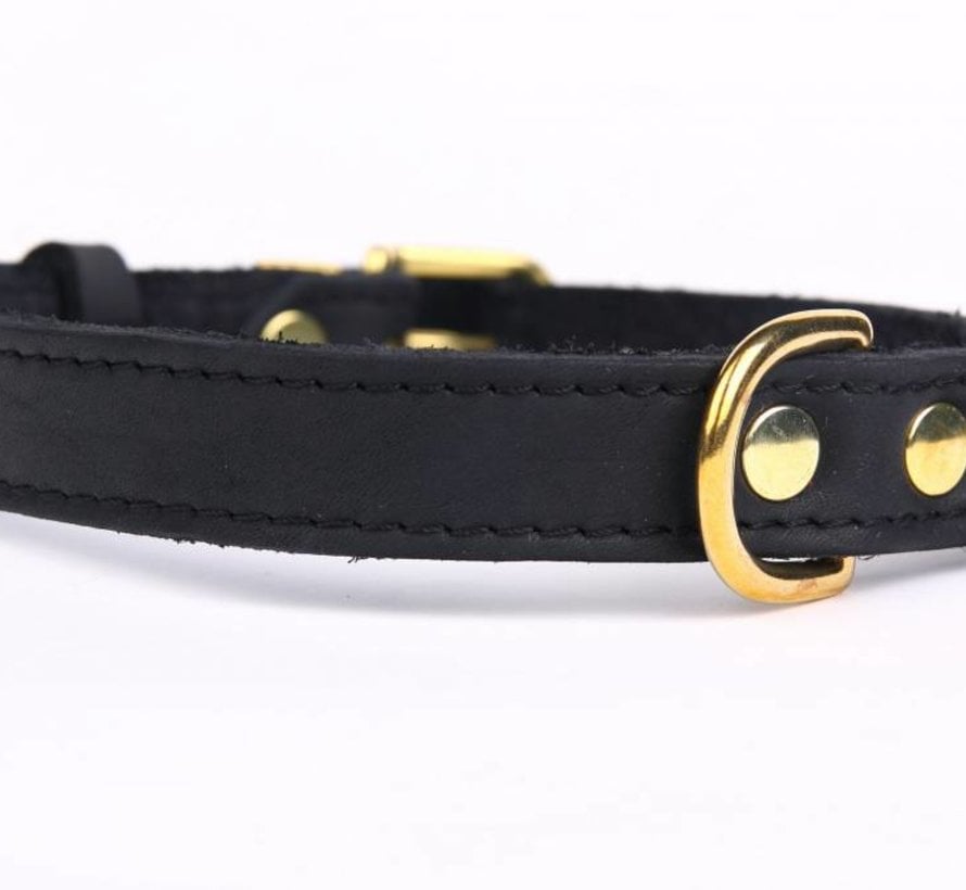 Adjustable leather collar exclusive gold
