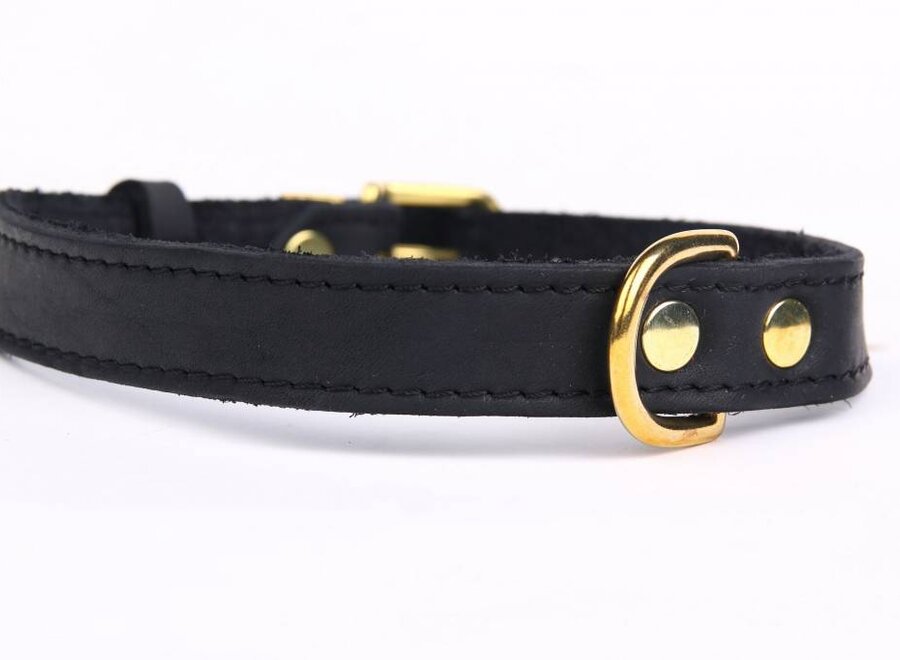 Adjustable leather collar exclusive gold