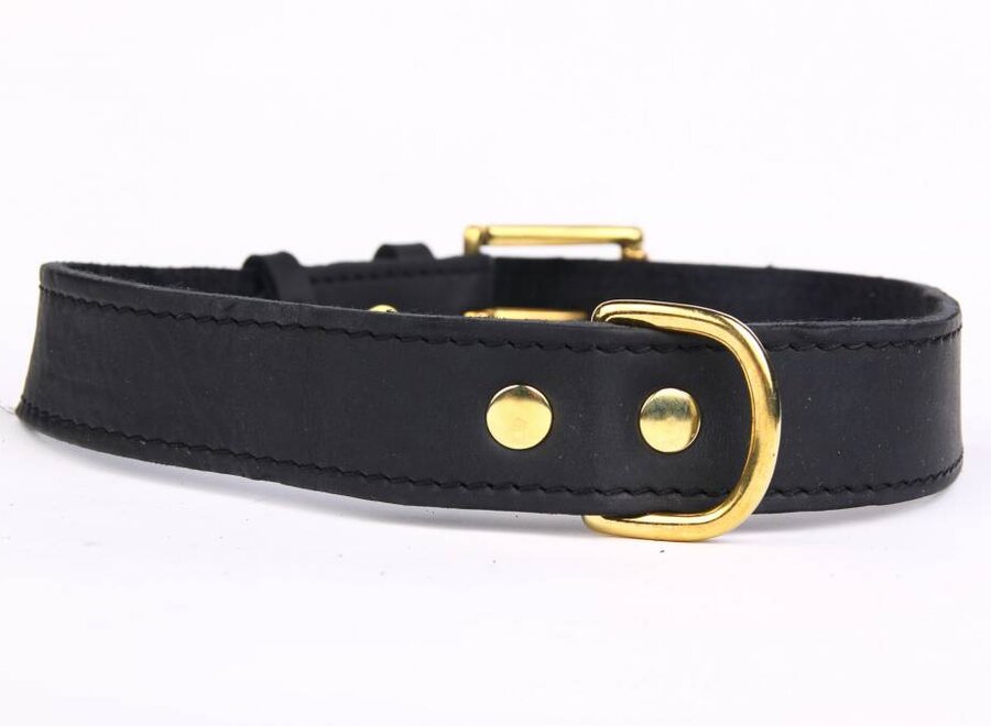 Adjustable leather collar exclusive gold