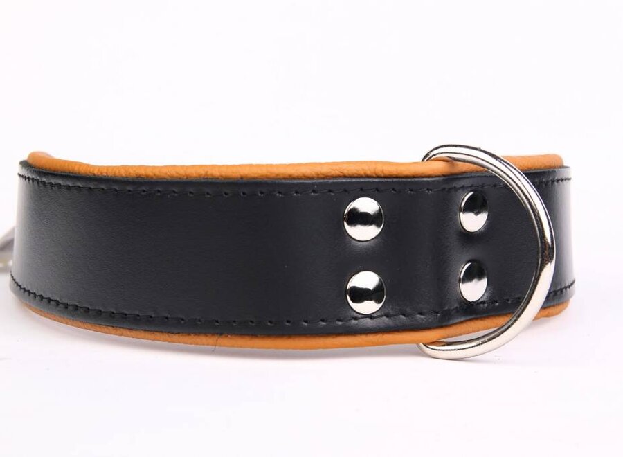 Collier de chien en cuir