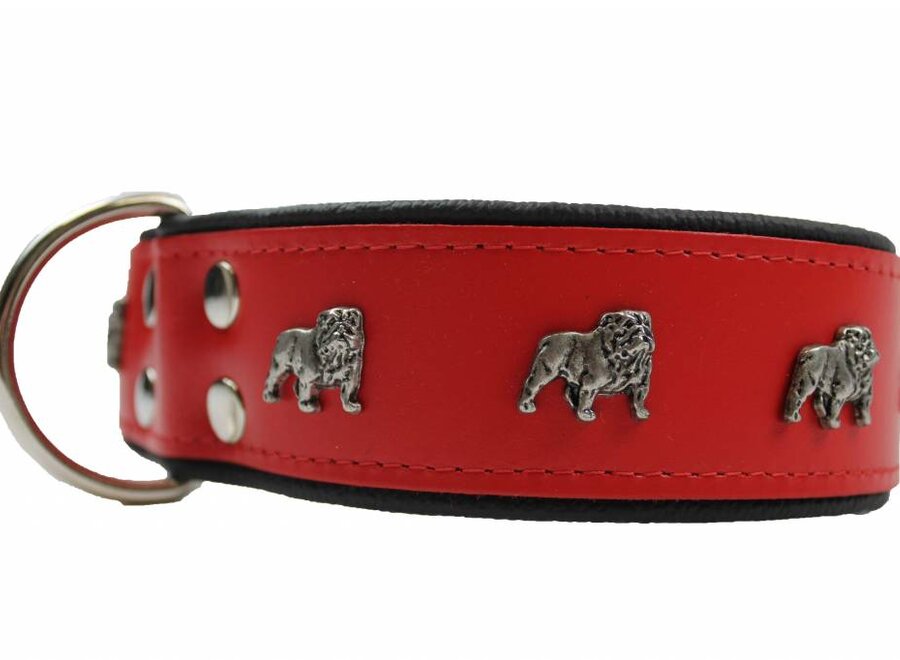 Leather dog collar English bulldog