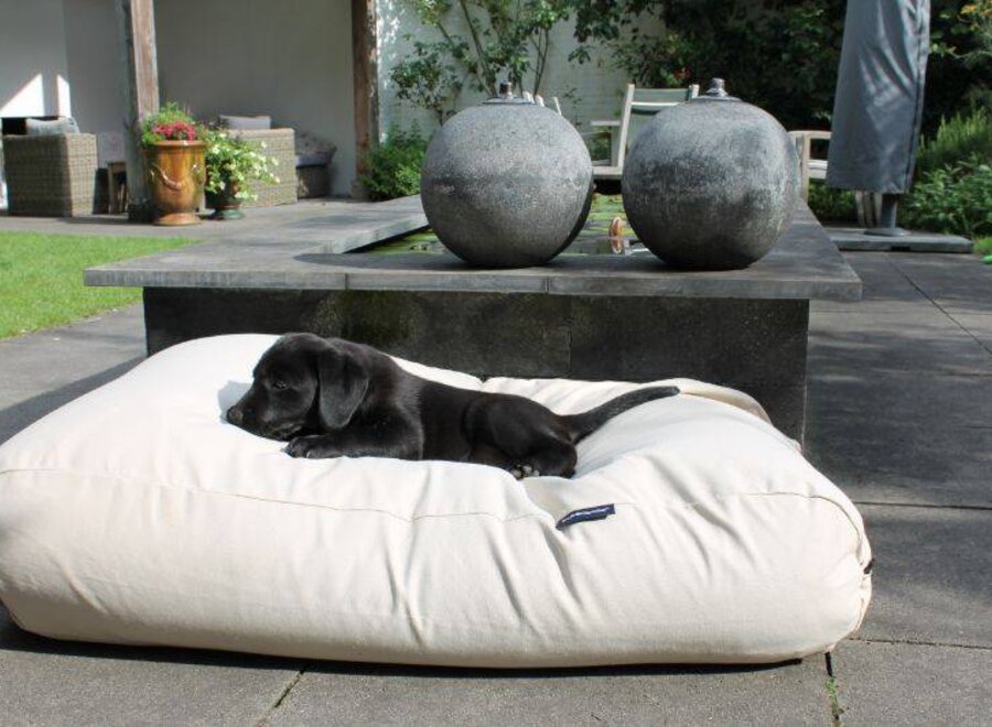 Dog bed white sand