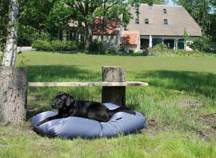 Dog bed Steel Grey (coating) Extra Small