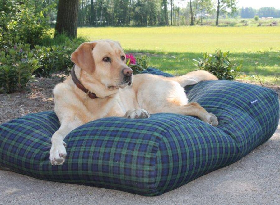 Dog bed black watch medium