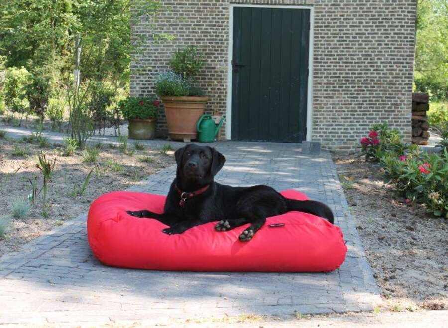 Dog bed red coating extra small