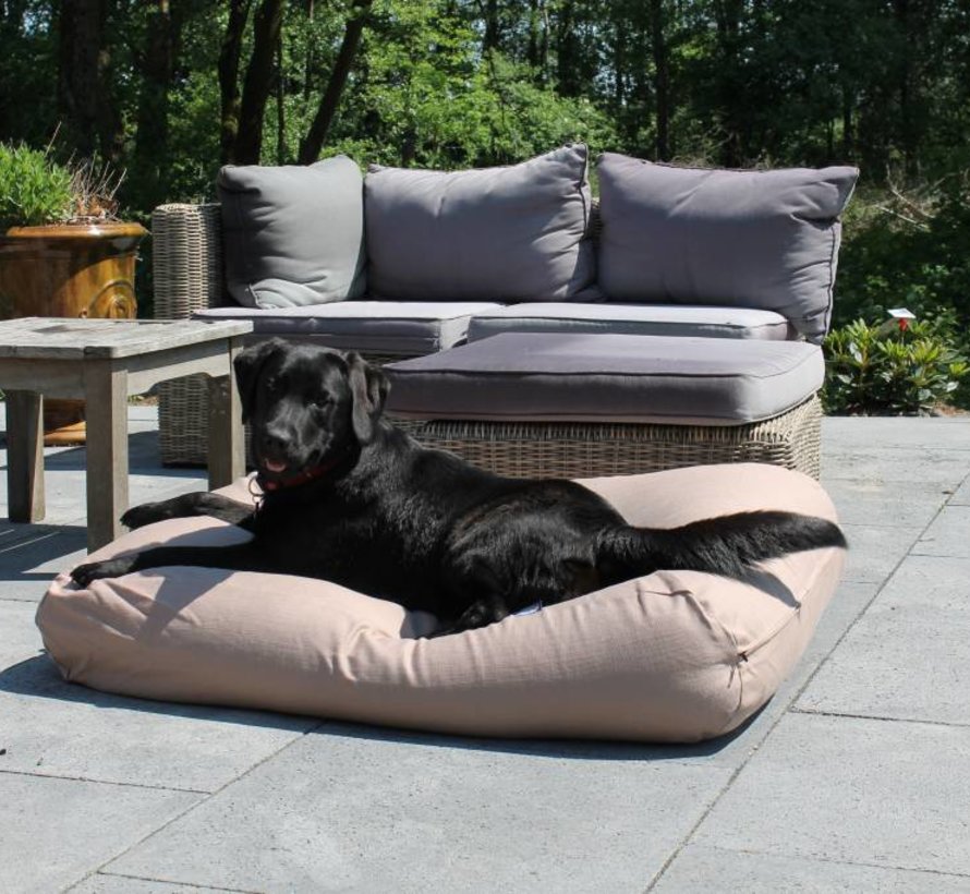 Antibacterial sales dog beds